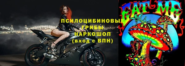 прущие грибы Баксан