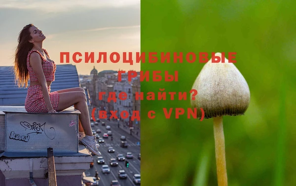 прущие грибы Баксан